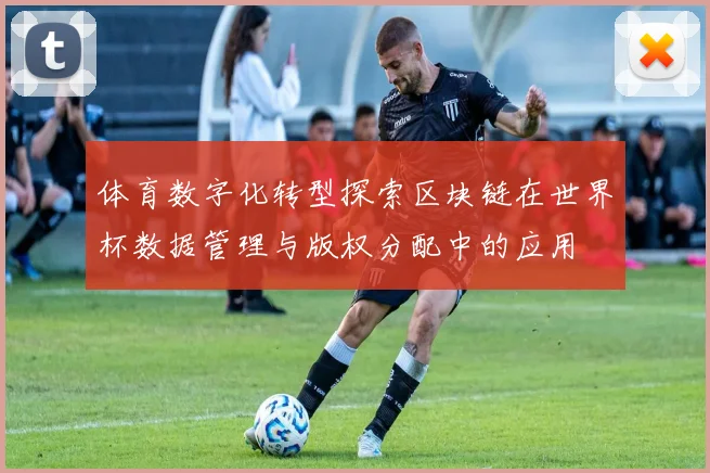 体育数字化转型探索区块链在世界杯数据管理与版权分配中的应用